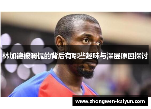 林加德被调侃的背后有哪些趣味与深层原因探讨